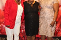 Valentines-Day-Backdrop-7